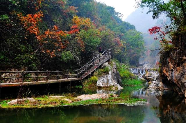 河南三门峡旅游景点门票价格大全