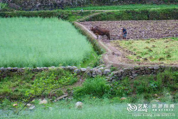 又一个免费开放的浙江5A景区 天台山国清景区