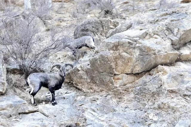 这么牛？不仅独霸贺兰山威名，明后天还半价！