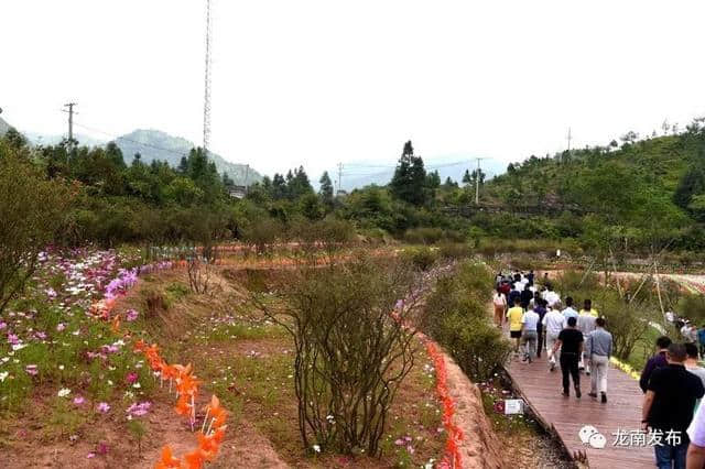 龙南开启组团学习模式！区县党政考察团赴石城全域旅游示范区建设