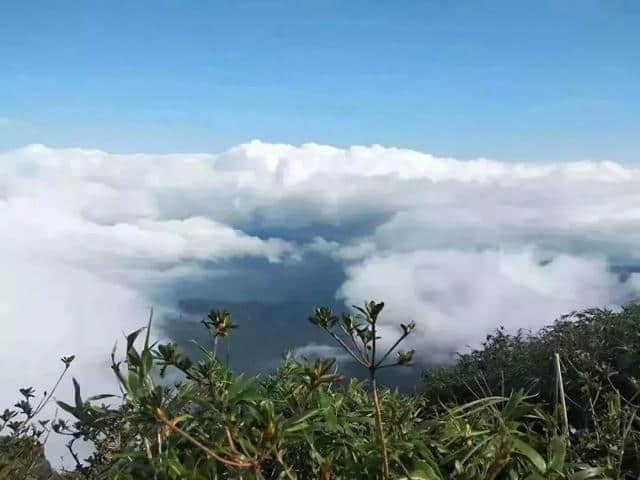 姑婆山初八至初十贺州市民门票仅25元/人，零距离观看中国传统绝技，好吃好看又好玩