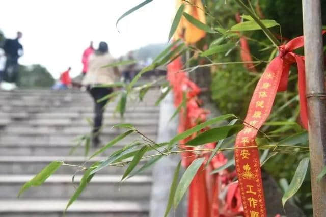 姑婆山初八至初十贺州市民门票仅25元/人，零距离观看中国传统绝技，好吃好看又好玩