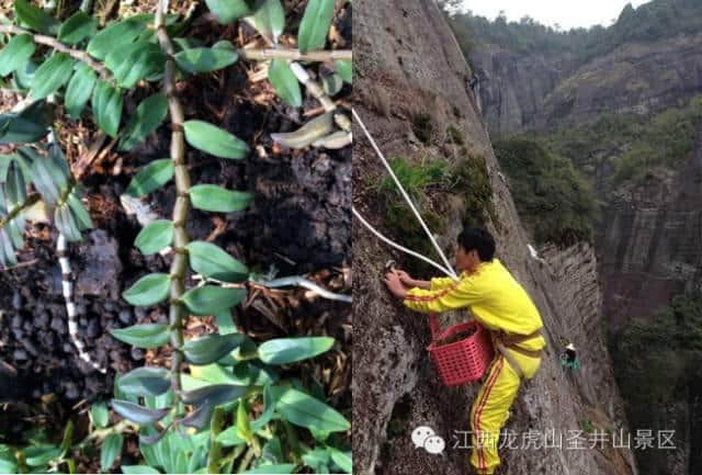 开八 | 鹰潭附近好玩的地方、旅游景点和旅游线路，我帮你想好了！