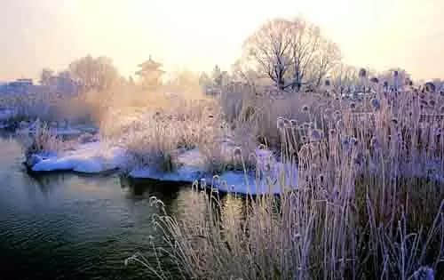 冬季旅游看点百花齐放，今年冬季迎来黑河旅游的“春天”