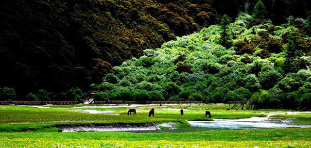 都知道四川九寨沟，但99%的人去错了地方！