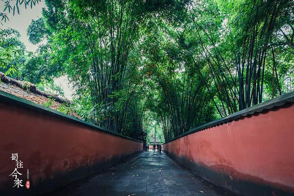 春天临近，几个适合春日旅行的好去处，来一场说走就走的旅行