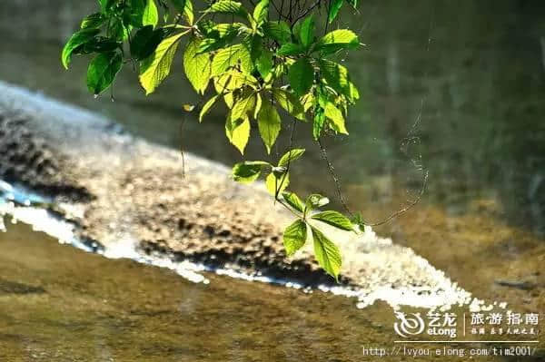 皖南查济古村落，这里还是春天