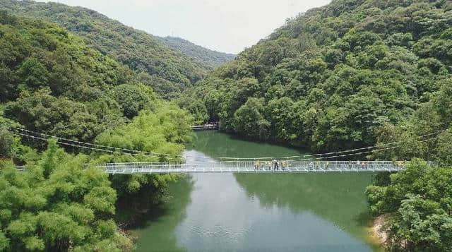 河源十大景点