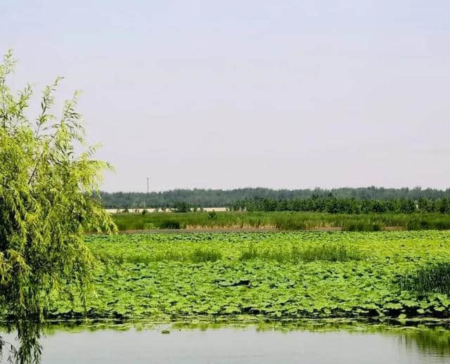 菏泽的这10处绝色地方美景，你打完卡了吗？