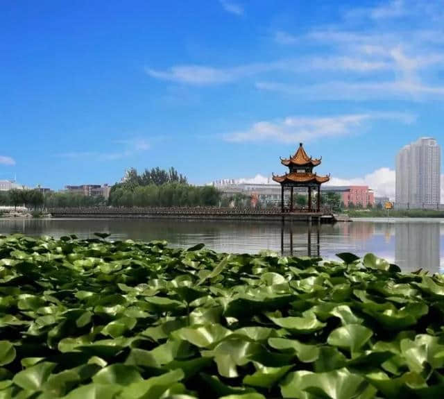 菏泽的这10处绝色地方美景，你打完卡了吗？