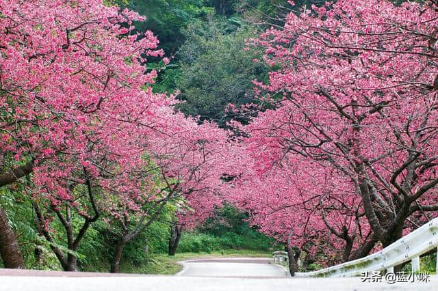 冲绳岛旅游攻略：除了拥抱海洋，冲绳岛还能这么玩