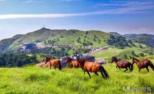 再过几天，宜昌这些景区免费！赶紧约起来！