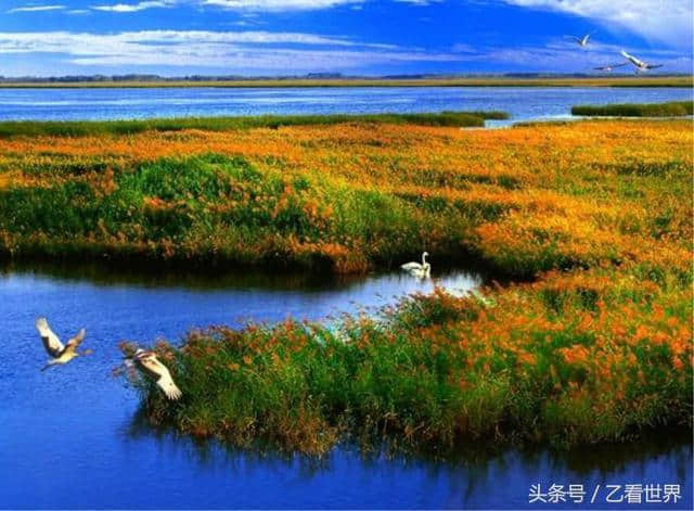 黑龙江齐齐哈尔五个值得一去的旅游景点，喜欢的不要错过