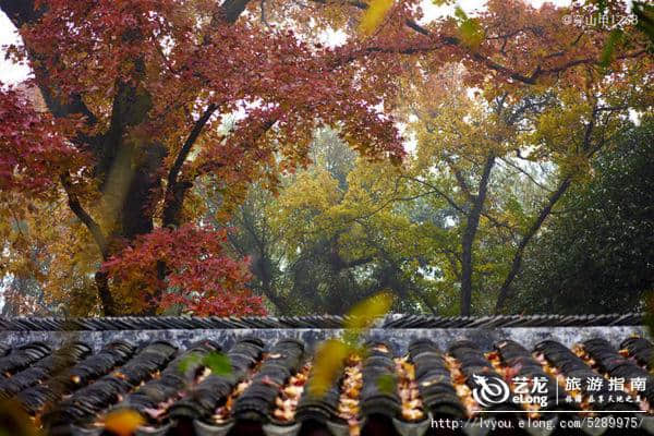 江南秋日4个超美地 闲逛小桥流水人家