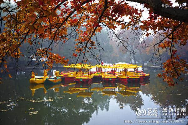 江南秋日4个超美地 闲逛小桥流水人家