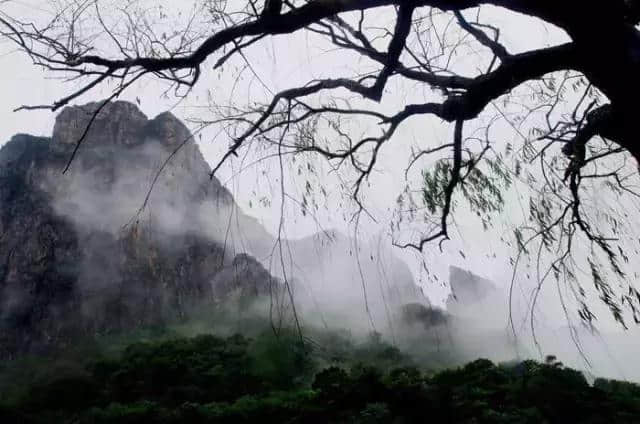 当太极遇到云台山水，河南邀你来感受这不一样的美