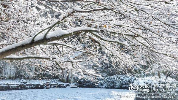 杭州的雪到底有多美？让本地人告诉你