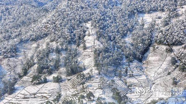 杭州的雪到底有多美？让本地人告诉你