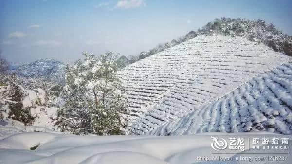 杭州的雪到底有多美？让本地人告诉你