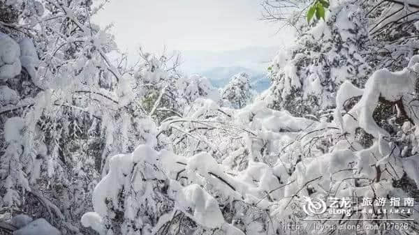 杭州的雪到底有多美？让本地人告诉你