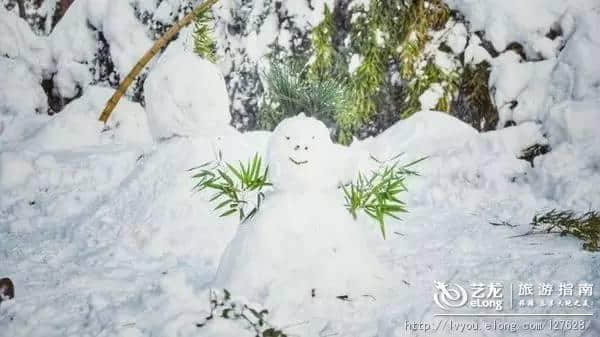 杭州的雪到底有多美？让本地人告诉你