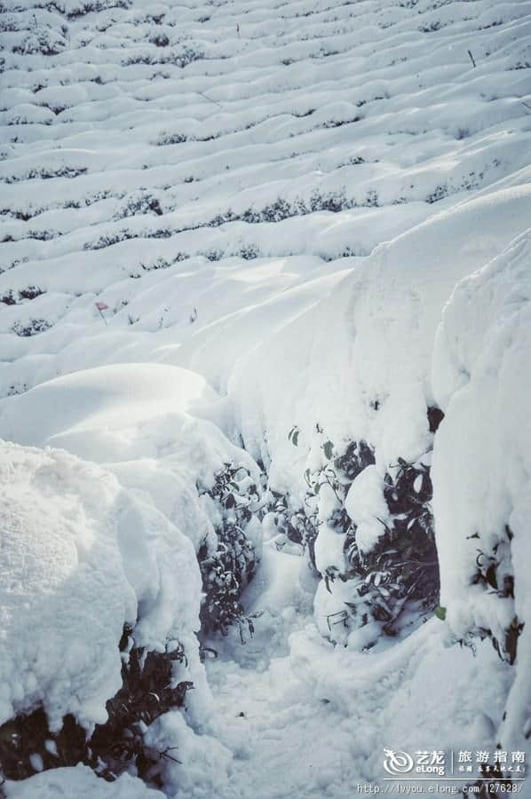 杭州的雪到底有多美？让本地人告诉你