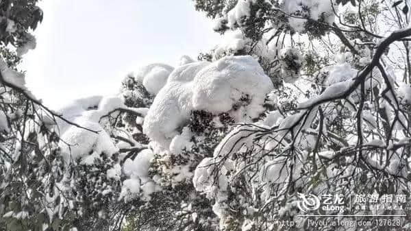 杭州的雪到底有多美？让本地人告诉你