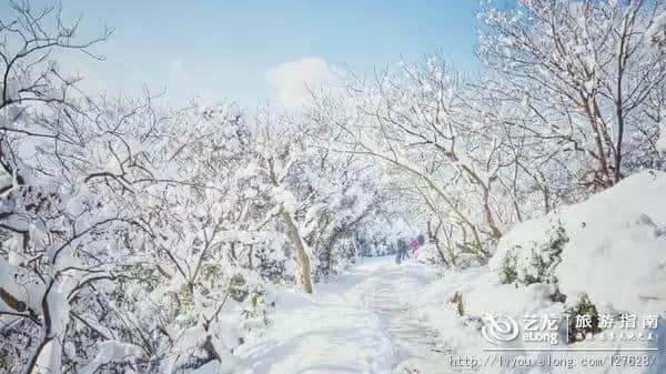 杭州的雪到底有多美？让本地人告诉你