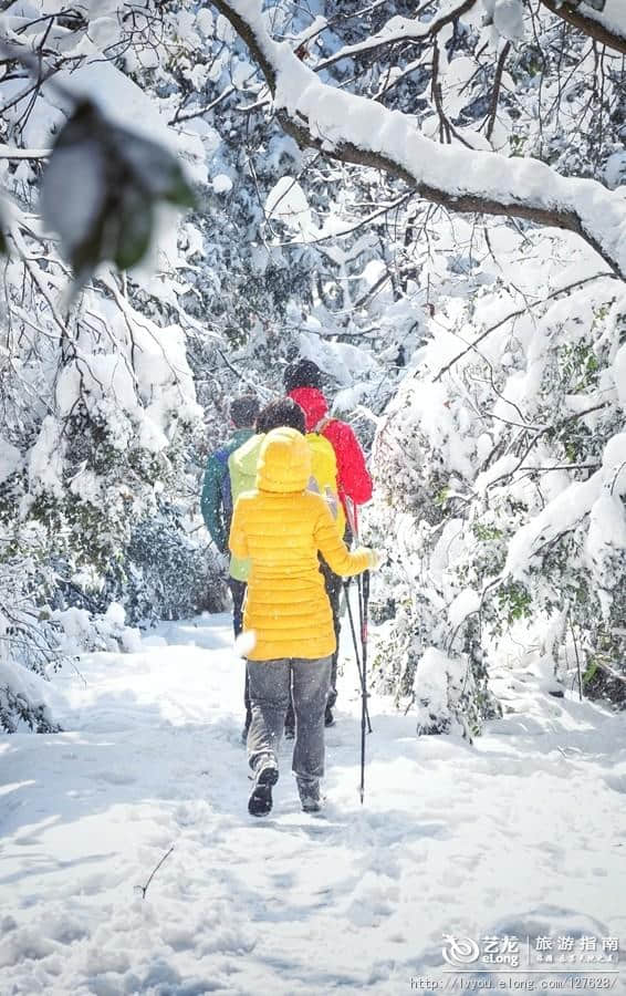 杭州的雪到底有多美？让本地人告诉你