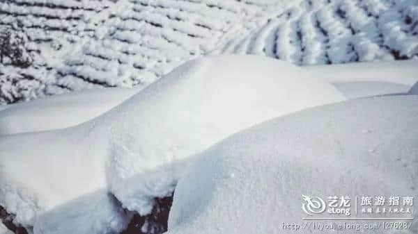 杭州的雪到底有多美？让本地人告诉你