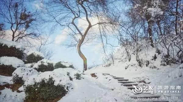 杭州的雪到底有多美？让本地人告诉你