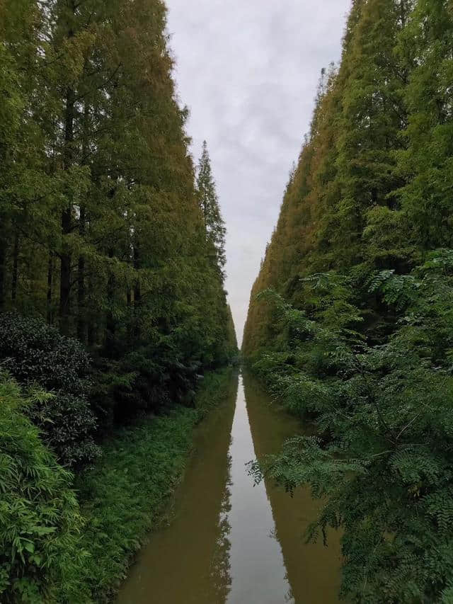 崇明岛二三日游