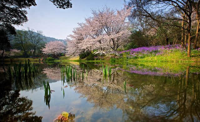 春季最佳旅行榜单，这9个地方必去