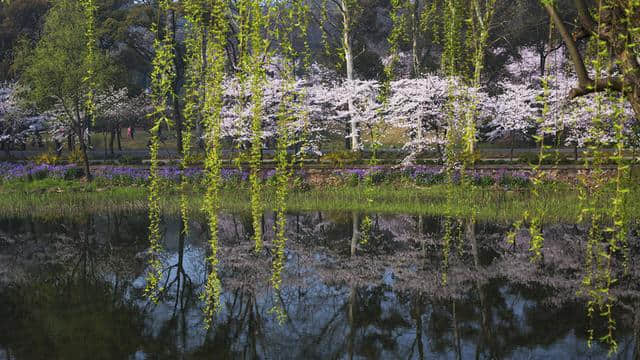 春季最佳旅行榜单，这9个地方必去