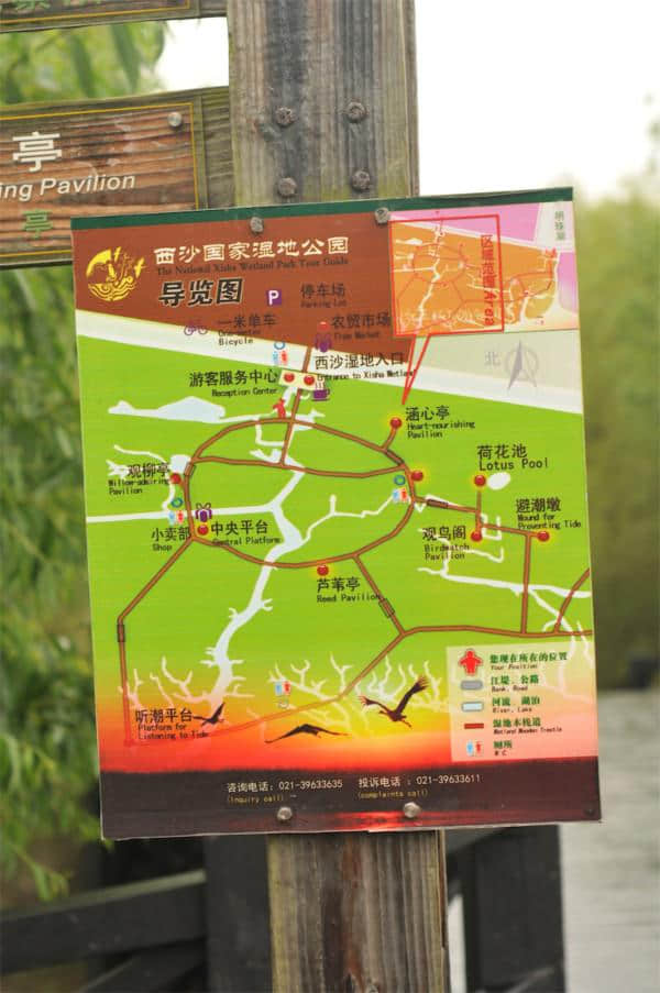 “中国第三大岛”——上海崇明岛，一个风景绝美的休闲胜地