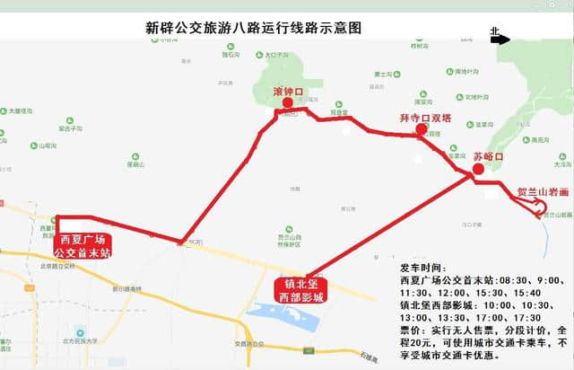 银川新增公交旅游8路，去西线旅游景点更方便