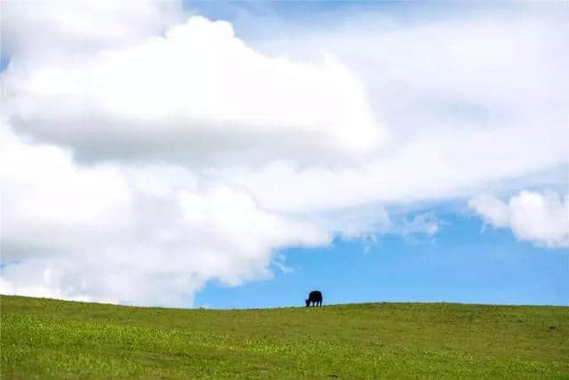 川西才是四川最美的地方。