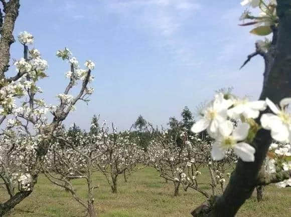 清明假期游玩鹰潭，最全攻略就看这一篇！