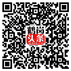 「旅游」鹤岗是个好地方 鹤岗老人很幸福 俄罗斯老干部观光团为我市康养旅游点赞