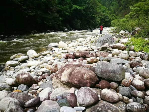 “洁净黑河，你我同行”黑河文明旅游主题活动启动