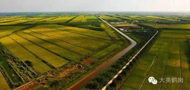 「推荐」盘他！相约鹤岗，开启狂浪的夏天