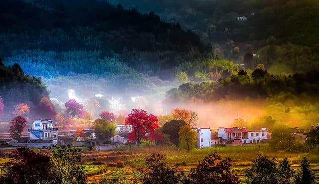 十一月旅行去哪里，请看这里