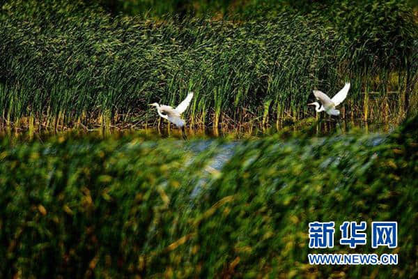 黑龙江夏季旅游四大主题十种“打开方式”