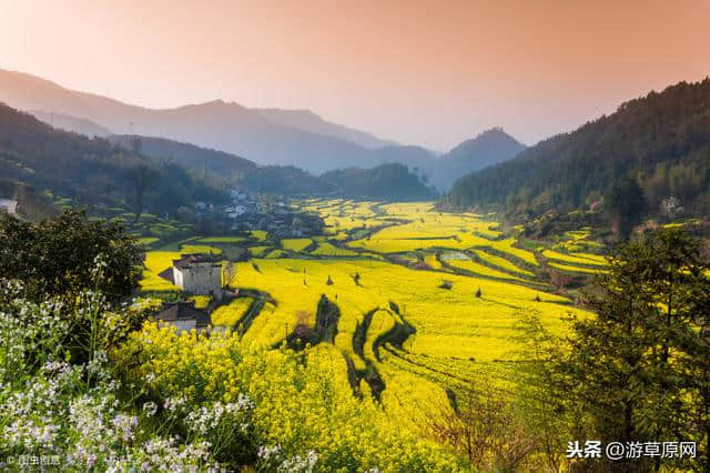 我国春季旅游景区名单，春天有哪些旅游景点？沈阳世博园上榜