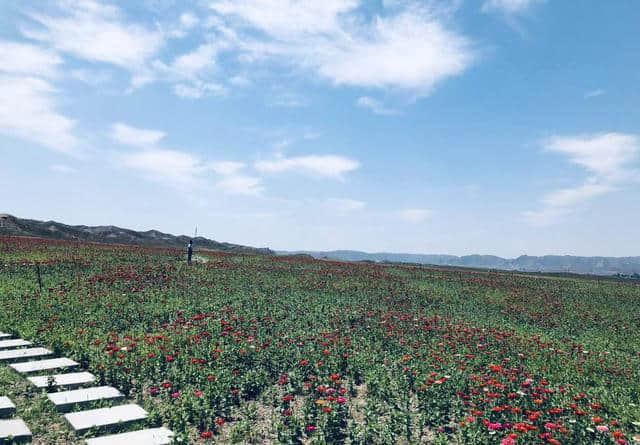 周末自驾一起赴约十里花海—黄河石林大景区