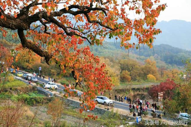 11月旅行地分享！这4个地方开启深秋之旅