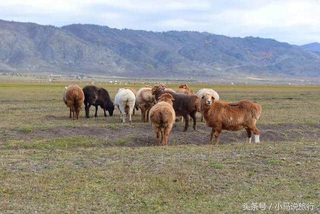 11月旅行地分享！这4个地方开启深秋之旅