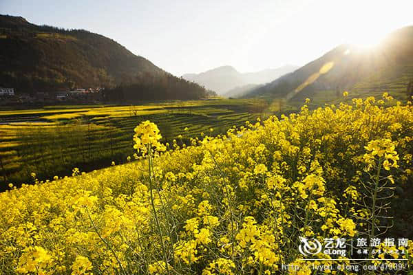 云南十大景点 只是多看了一眼 从此念念不忘