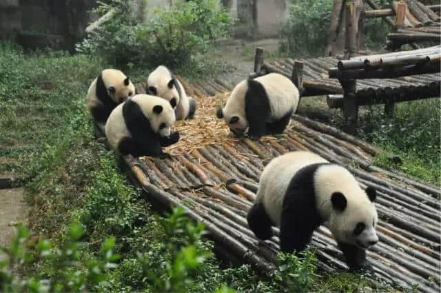 适合闺蜜情侣一起去的十大旅行地！三亚最温暖！