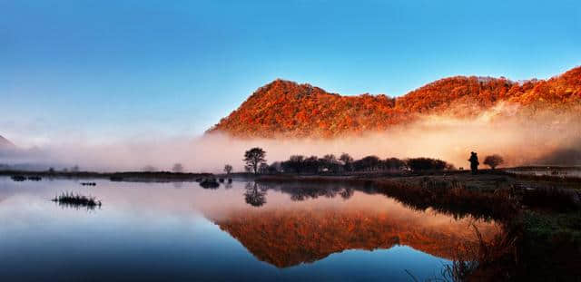 寻找湖北最美秋景 | 你好，神农架秋色